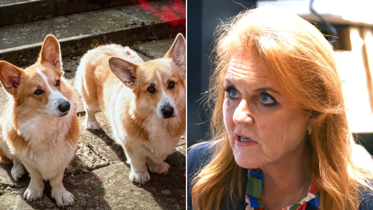 Fergie Denies Cloning Queen's Corgis for Reality TV