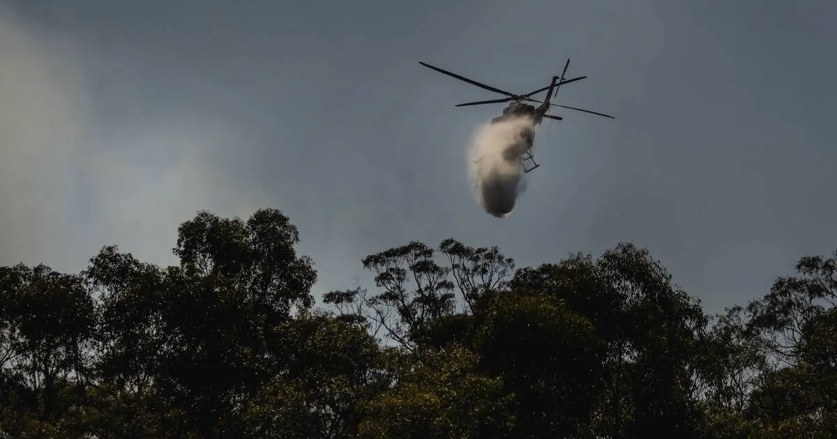Firefighters Battle Karuah Nature Reserve Blaze for Fifth Day