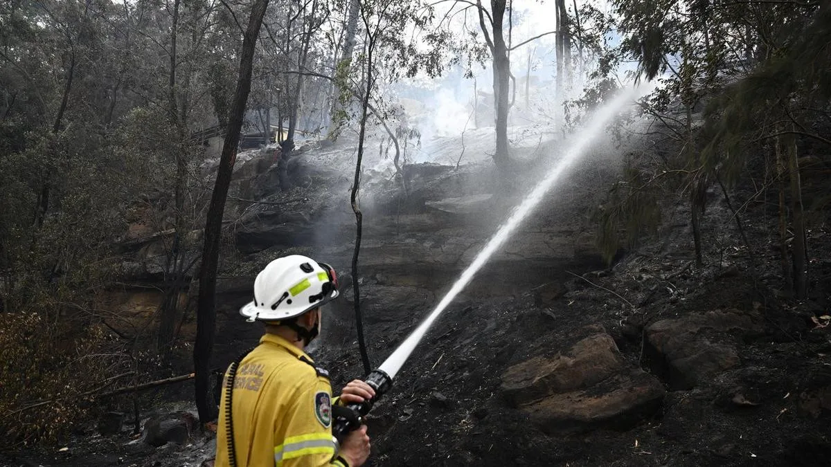 Firefighters Rescue Two Joeys From Burnt Tree After WA Bushfire