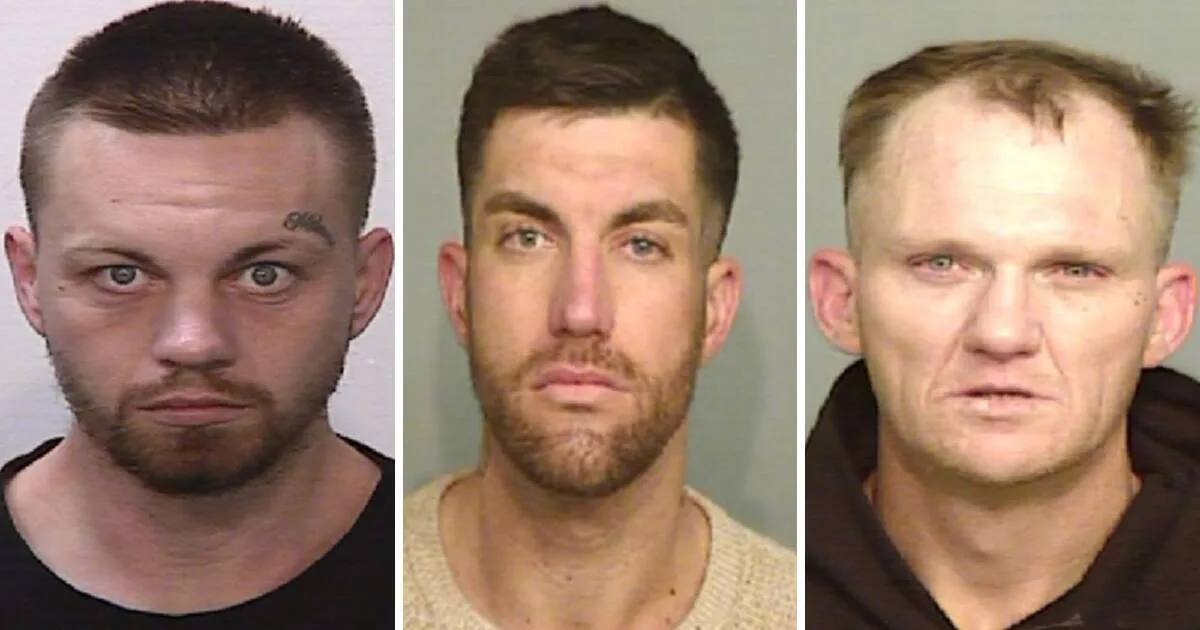 Police Release Mugshots of Three Wanted Men in Illawarra