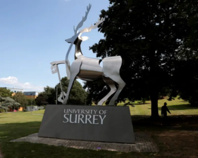 Former University of Surrey Student Arrested in Crossbow Shooting