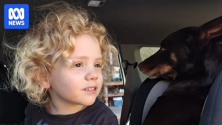 Rain May Aid Search for Missing SA Boy Gus Lamont