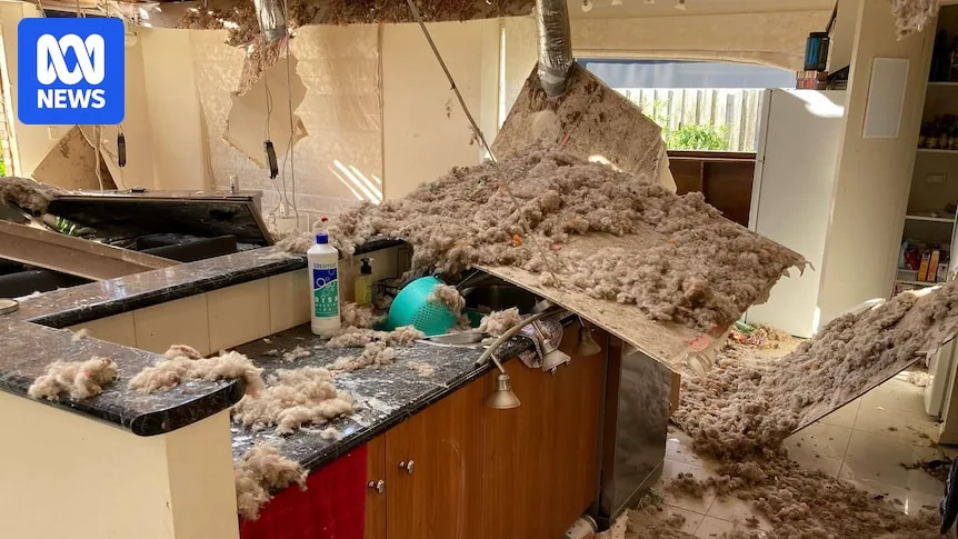 Freak Storm Batters Geelong, Leaves Homes Uninhabitable