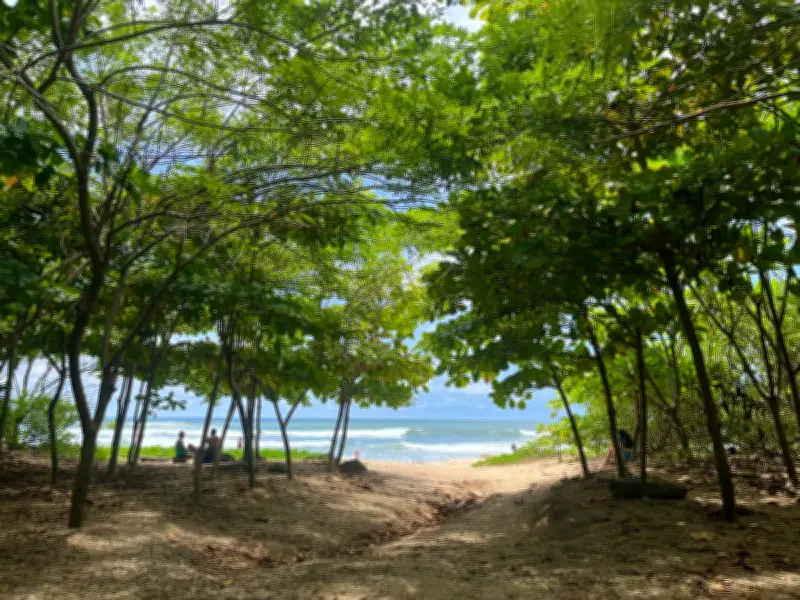 From barren shores to green oases: transforming Costa Rica's coastline