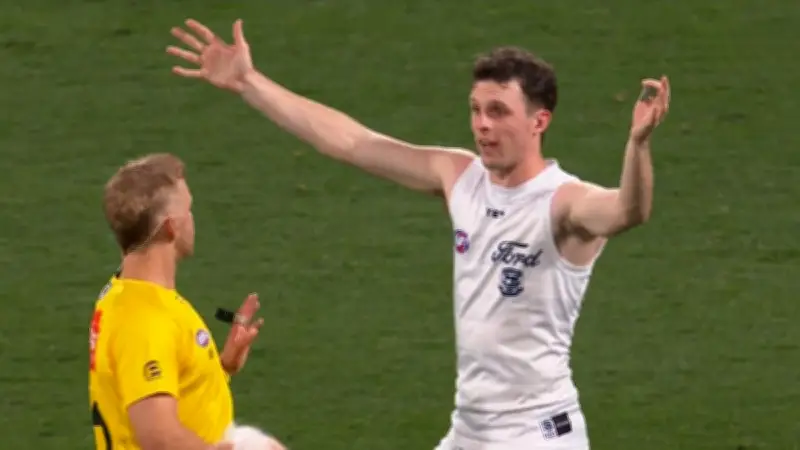 Geelong's Max Holmes caught in controversial AFL 'protected area' penalty