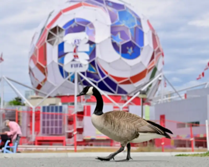 Geopolitics World Cup Week: Hope, Memes, and Dreams Await