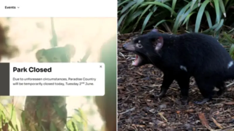 Gold Coast theme park closes after Tasmanian devil vanishes