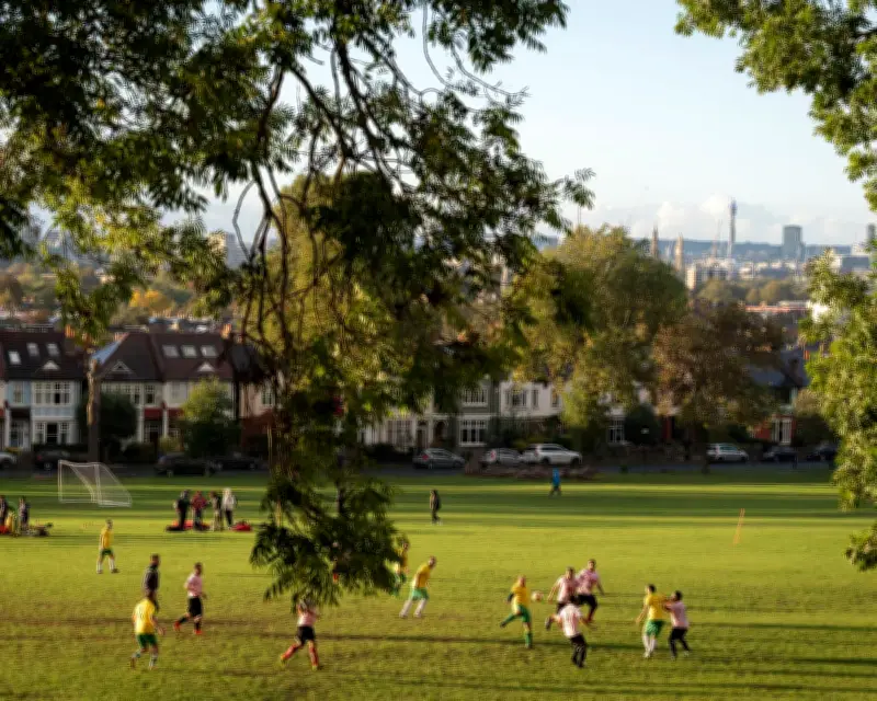 Green Space Cuts Hit Poorest Areas Hardest, Expert Warns