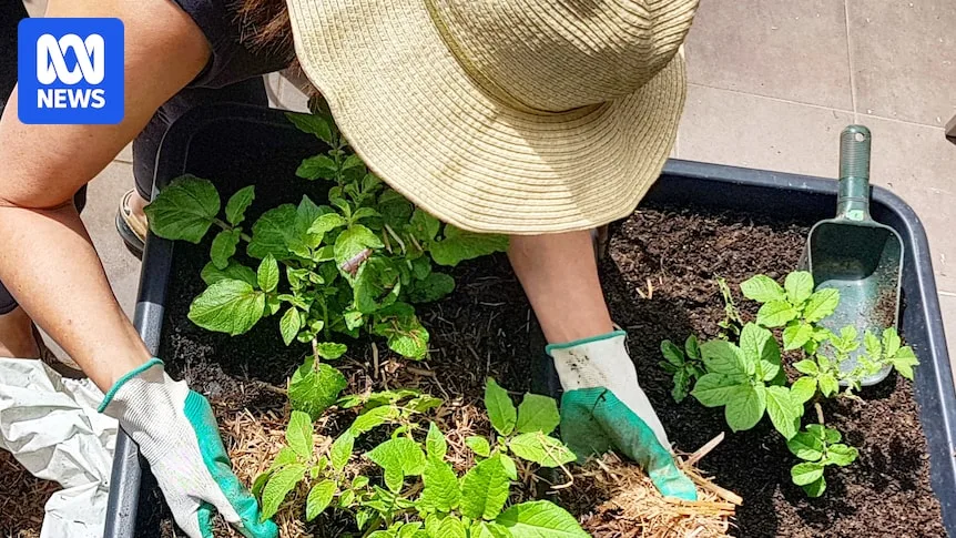 Grow Fresh Herbs and Veggies Indoors This Winter