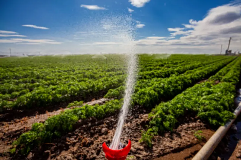 Half of California waterways contaminated with PFAS pesticides, analysis finds