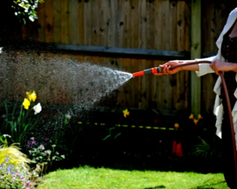 Hosepipe Ban Imposed in South East Amid Heatwave Surge