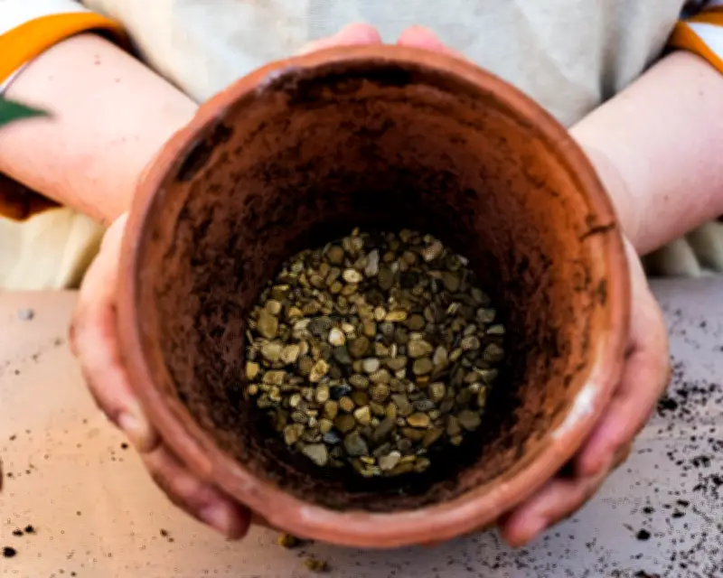 Houseplant Hack: Gravel at Bottom of Pots May Harm Drainage
