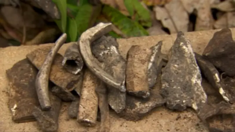 Human remains found in backyard turn out to be historical teaching skeleton