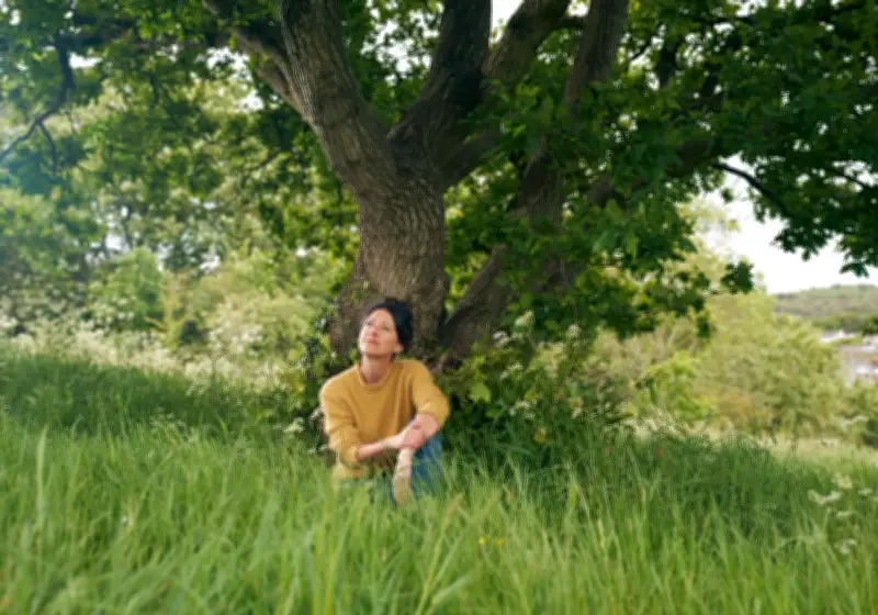 I Sat Under an Oak Tree Every Day for a Year and Found Peace