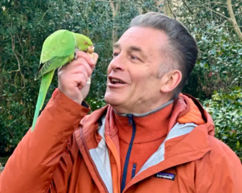 Invasion of the Parakeets Review: Class Warfare with Birds?