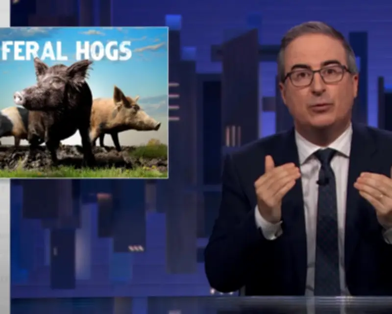 John Oliver's Feral Hogs Episode Sparks Debate on Invasive Species