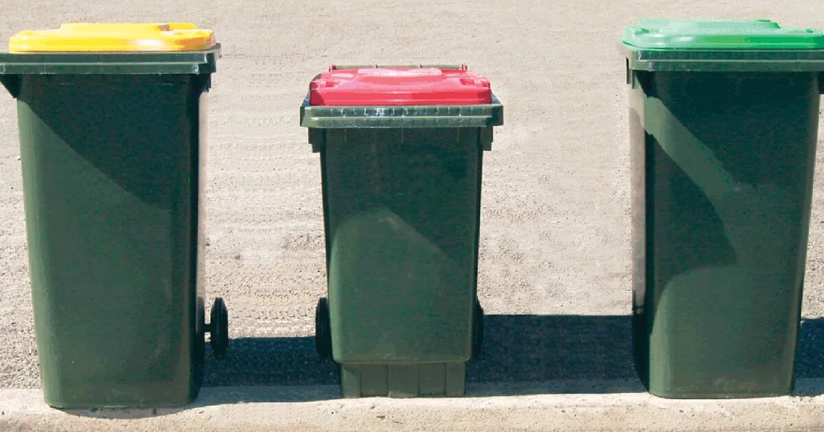 Kiama Bin Collection Changes 'Will Not Happen Quickly': CEO
