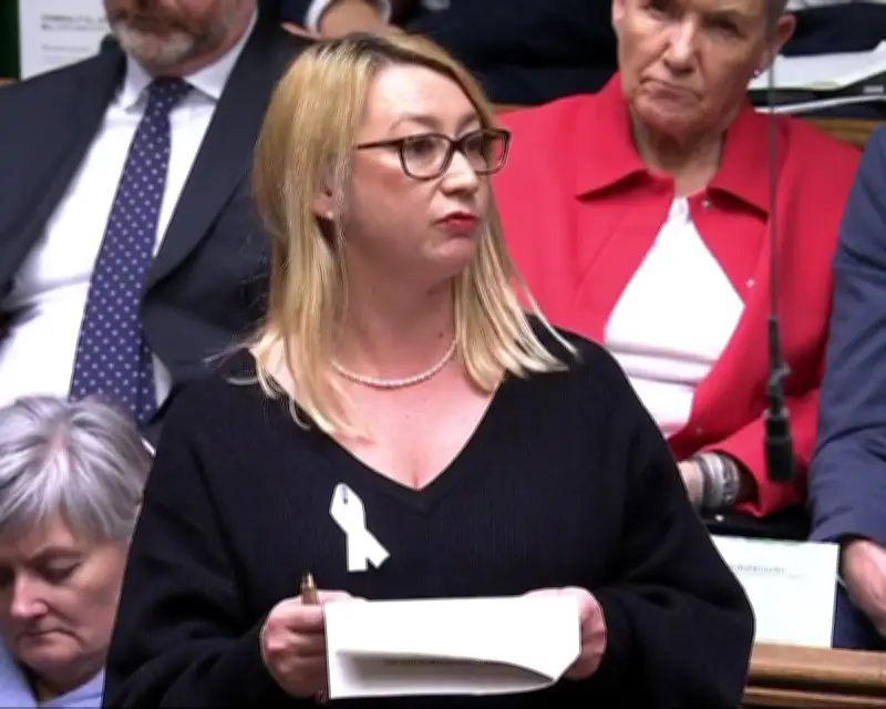 Labour MP Sues Elon Musk's AI Company Over Fake Sexualised Images