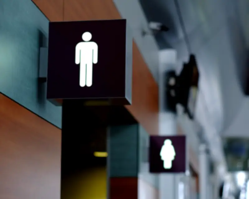 Labour MPs Question Practicality of EHRC Guidance on Biological Sex Ruling