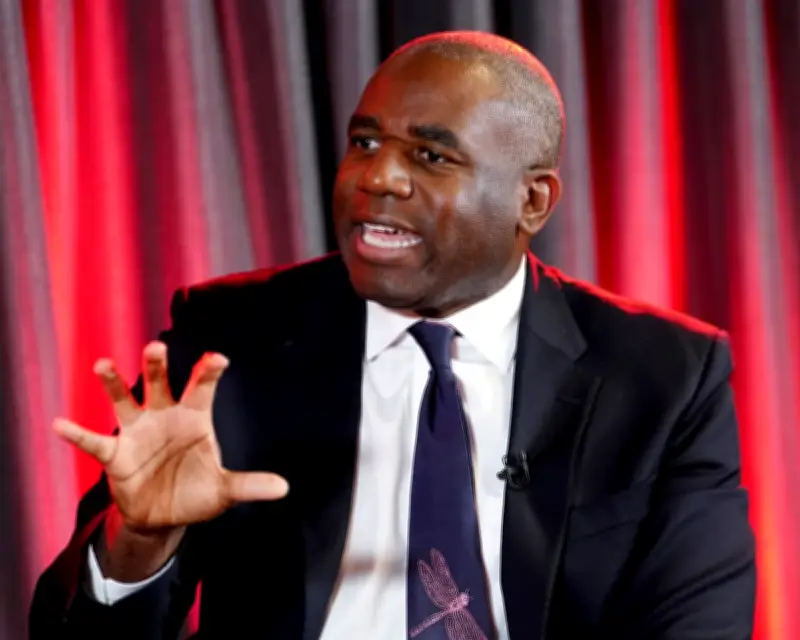 Lammy's Jury Trial Cuts May Worsen Race Relations, MPs Warn