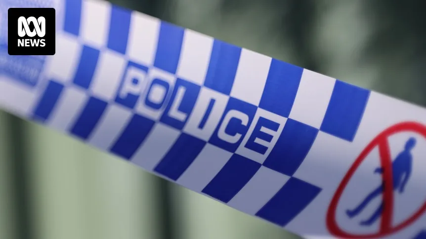 Lara School Carjacking Suspect Faces 17 Charges