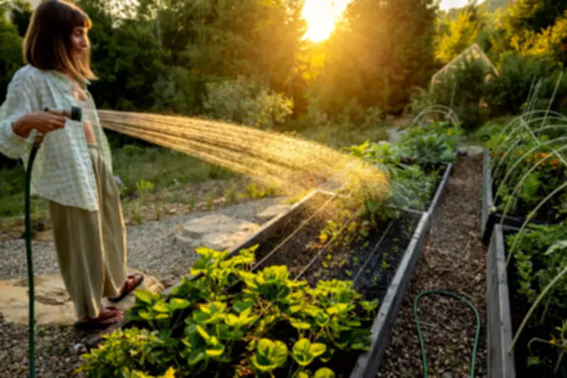 Lawns Don't Need Watering: How to Garden in a Heatwave