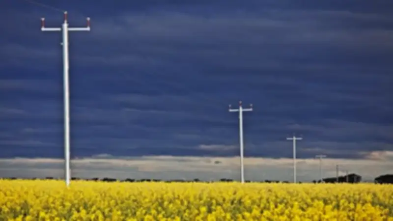 Life at the Edge of Australia's Power Grid: Batteries and Microgrids Offer Hope