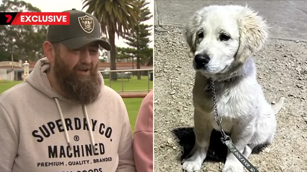 Lightning Strike Kills Golden Retriever Puppy in South Australia