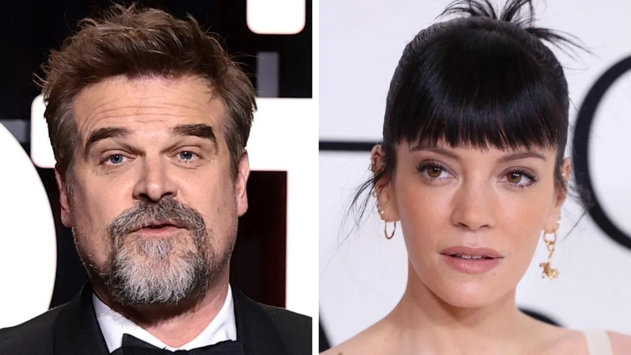 David Harbour Breaks Silence on Lily Allen's Break-Up Album Allegations