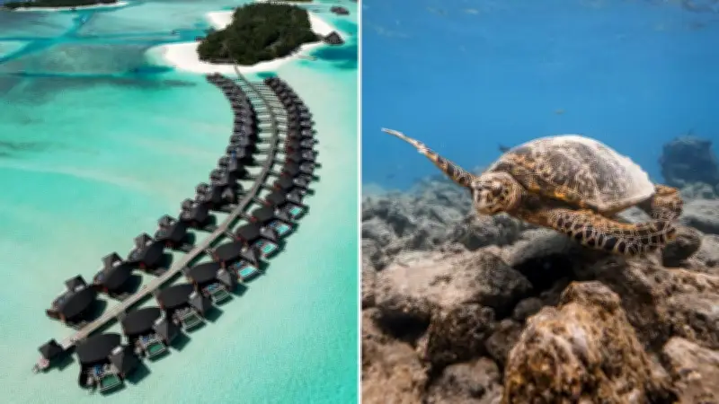 Maldives: More Than Just a Honeymoon Paradise for Aussie Travellers