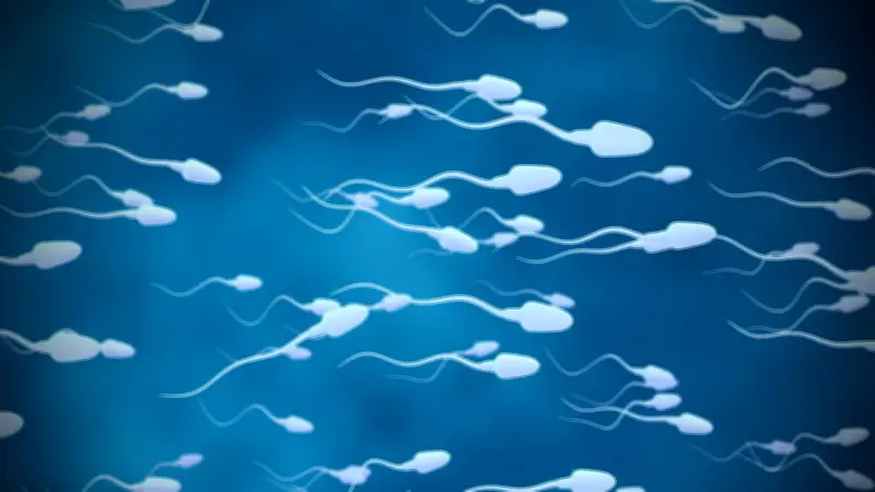 Male Biological Clock Real: Men Contribute to Half of Infertility Cases