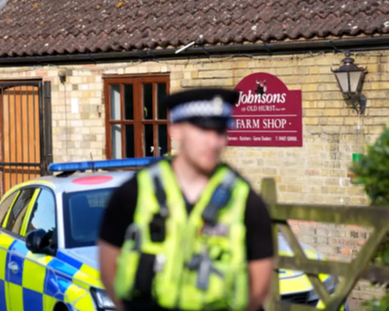 Man Bailed After Boy, 3, Injured in Crocodile Enclosure at UK Zoo