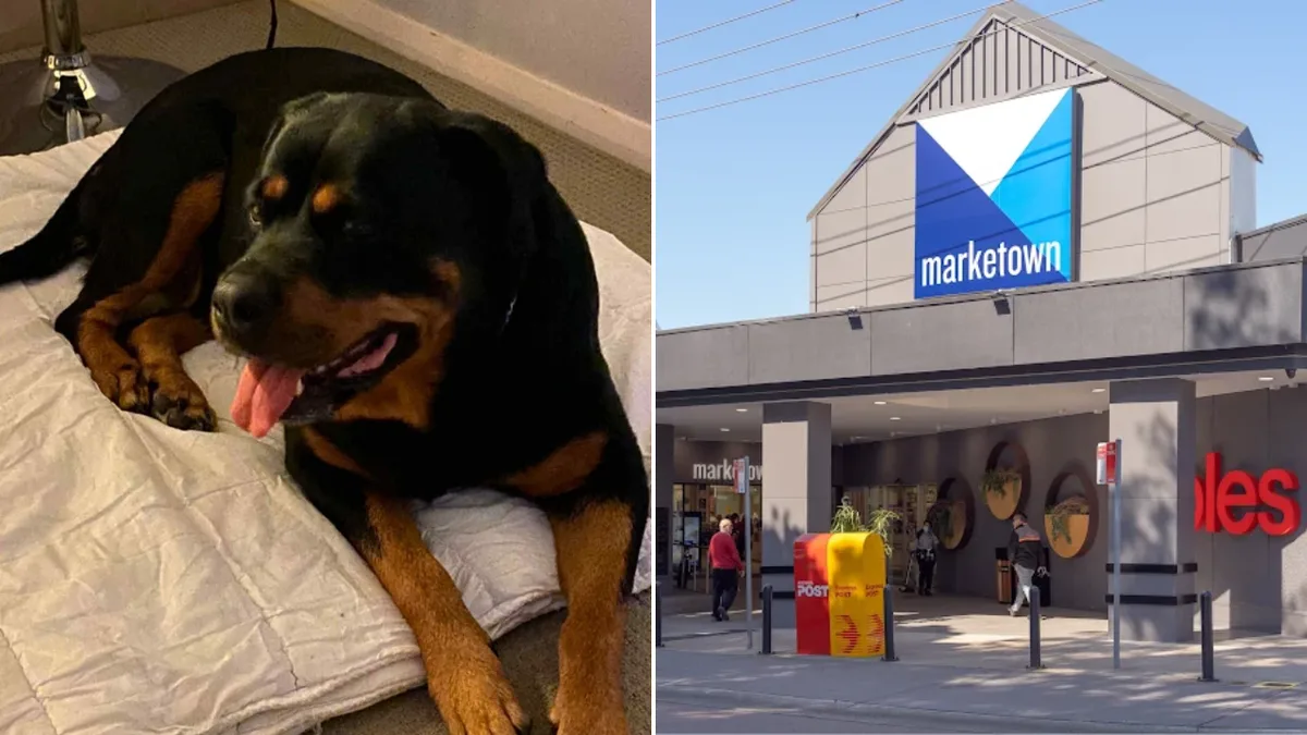 Man Charged Over False Dog Attack Report in Newcastle