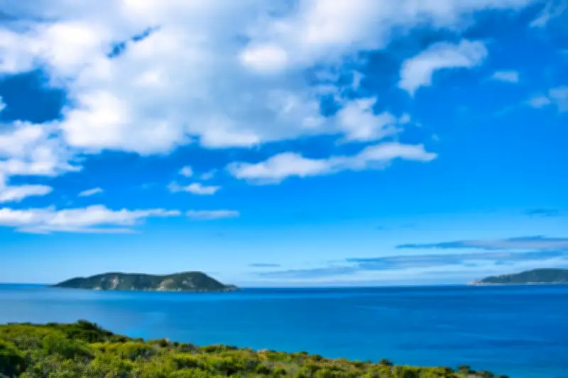 Man critically injured in shark attack off Western Australian coast near Albany