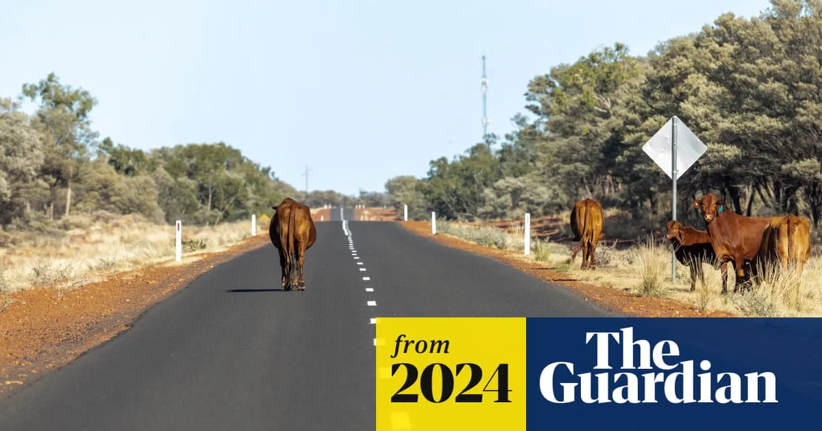 Man Left with Permanent Injuries After Cow Collision, but 'Archaic' Law Blocks Legal Recourse