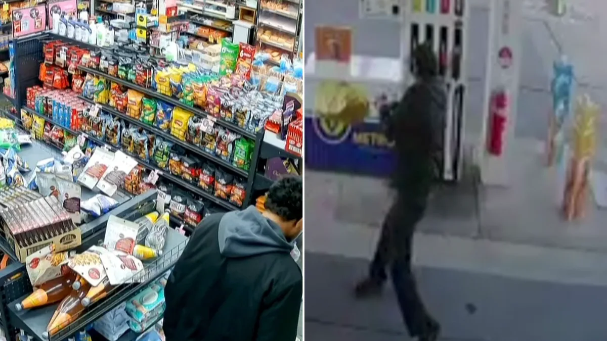 Man Sparks Lighter Near Fuel Pumps During Sydney Station Rampage