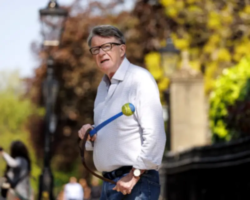 Mandelson Files Reveal Criticism of Starmer's Lack of Verve