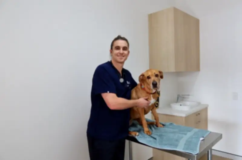 Mandurah's First 24-Hour Emergency Vet Hospital Opens July 6