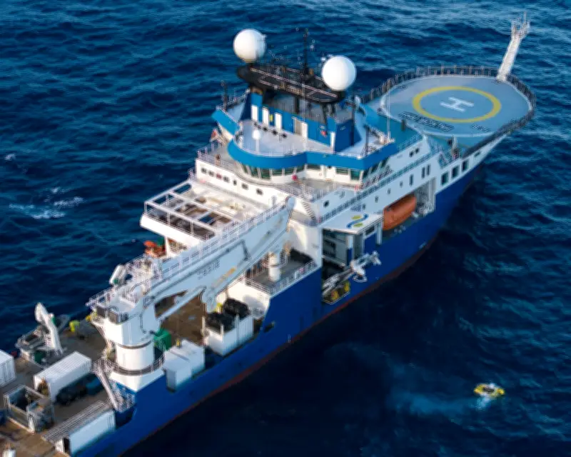 Marine Expedition Discovers 31 New Species Off Brazil in Two Weeks