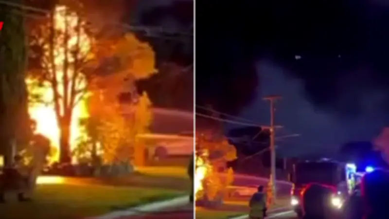 Mass Power Outage Hits Sydney's Northern Beaches After Electrical Kiosk Fire