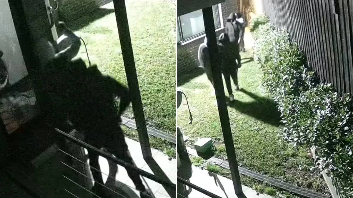 Melbourne Dad Uses Ironing Board to Fend Off Machete-Wielding Teen Intruders