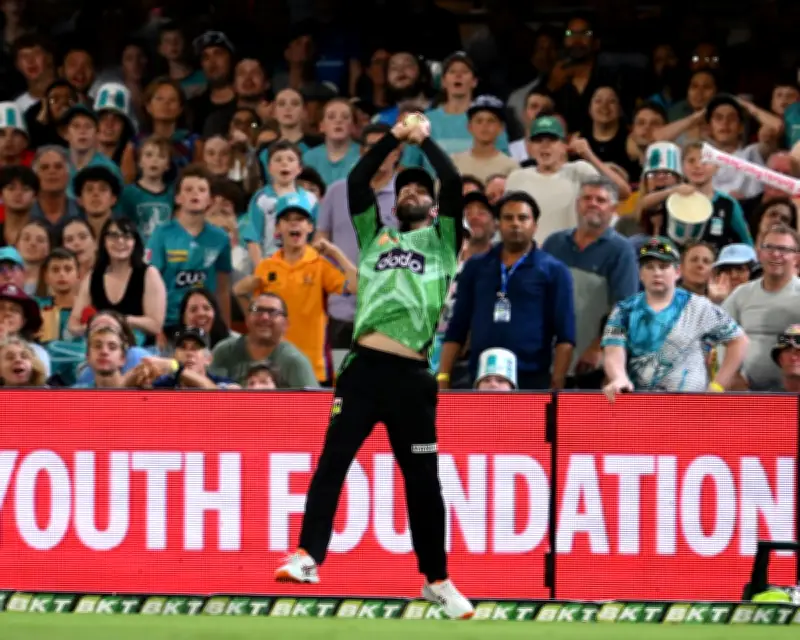 Melbourne Stars and Renegades Axed in Big Bash Privatisation