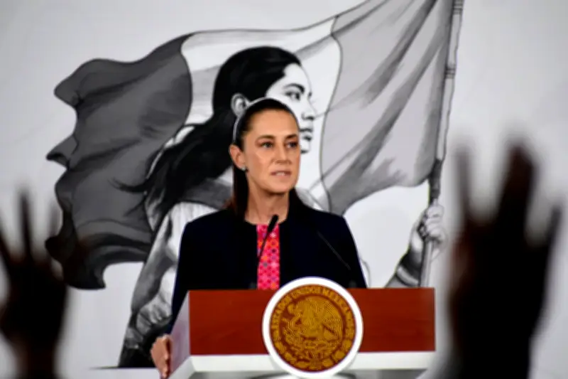Mexico's President Sheinbaum Chides US Ambassador Over Drug War Interference