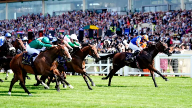 Mission Central Wins King Charles III Stakes, Everest Considered