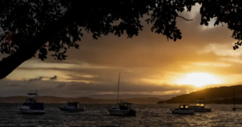More Australians Swap City Grind for Regional Life