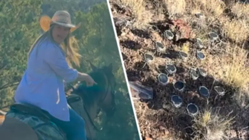 Mother and Daughter Find Hundreds of Mysterious Speakers on Mount Shasta