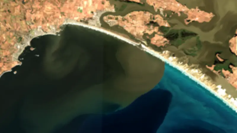 Murray River Flood 2022-23: Nutrient Plume Boosted Ocean Food Web