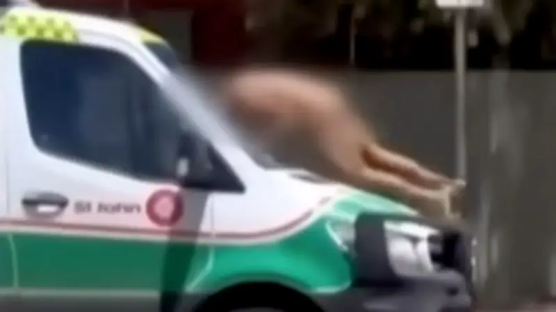 Naked Man Pleads Guilty After Violent Ambulance Rampage in Kalgoorlie