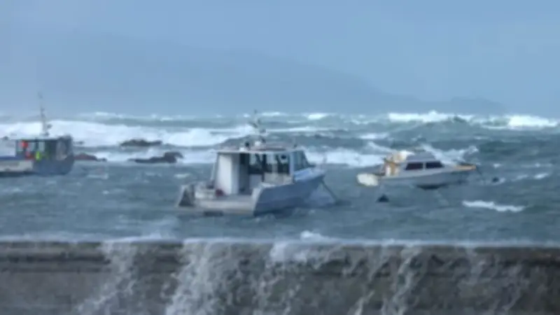 New Zealand's 'Emergency Fatigue' Risk: Why Better Warning Systems Are Needed