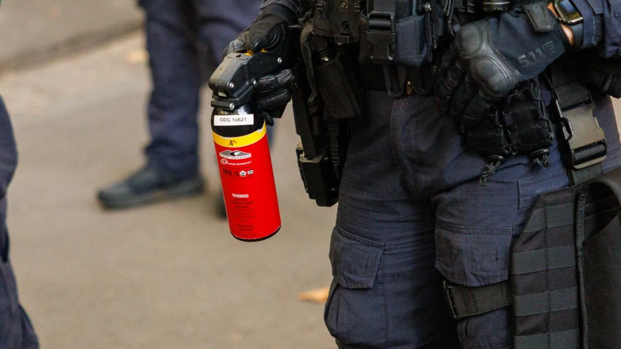 Man Seriously Injured in Wild Struggle with Police on Central Coast